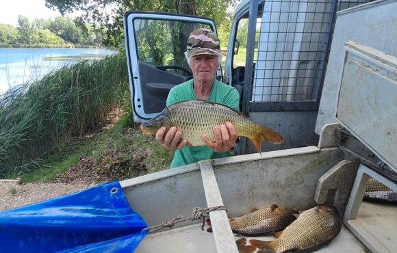 4,600 kilograms of hook-ready carp arrived in our waters