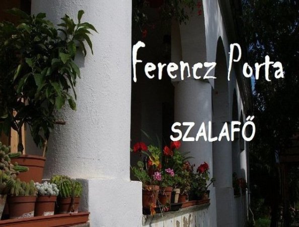 Ferencz Porta