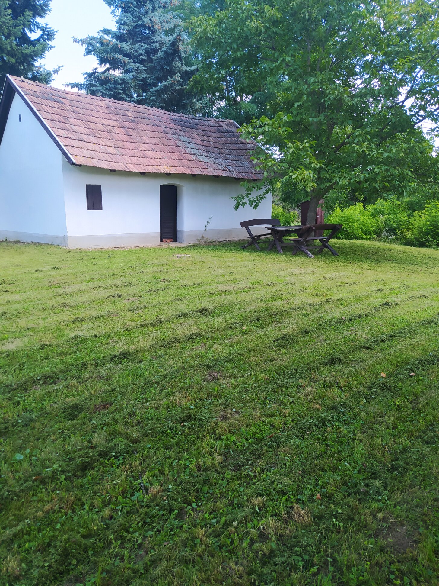 Hegyi pince