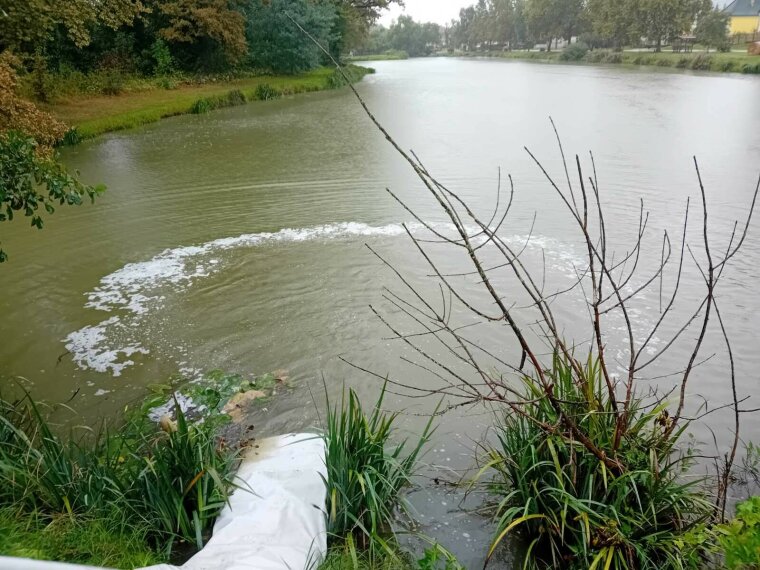 Carp stocking on Zala and Vasi lakes