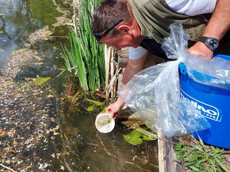 20.000 vorgezüchtete Hechte drangen in das eiserne Wasser ein