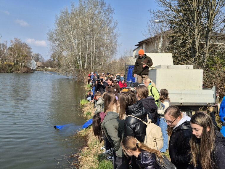 Fast 40 Tonnen Karpfen und Flussfische trafen ebenfalls ein.