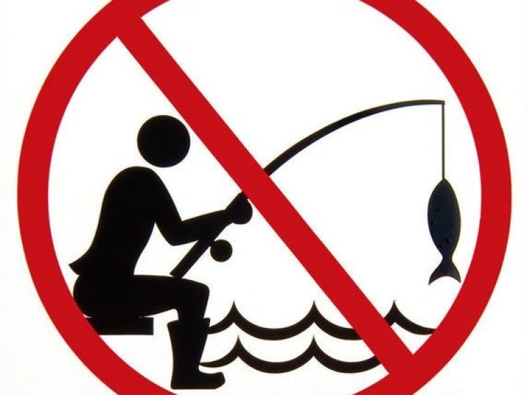 Fishing bans during the summer on Lake Abért I!