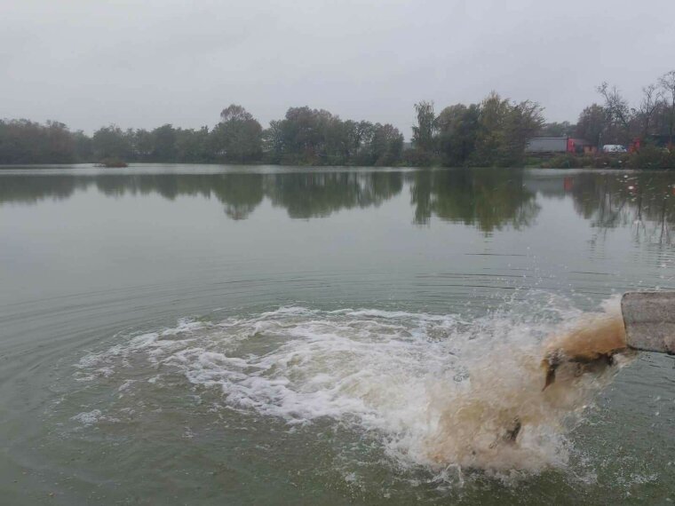 A total of 20 glazed carp arrived in four lakes