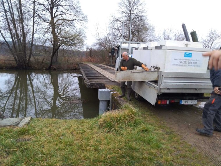 On Friday, 410 kg of bream arrived in the Rába River