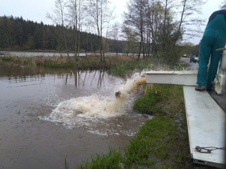 2102 kg of fish arrived in federal lakes Wednesday afternoon