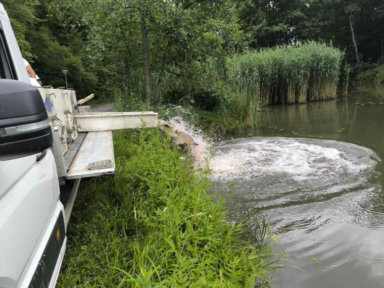 Installationen während der Organisation des Fischtages