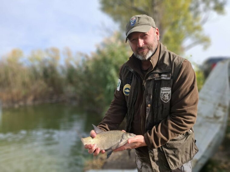 On Monday, another 2,920 kg of beautiful bream arrived in the waters of Vásárlón.