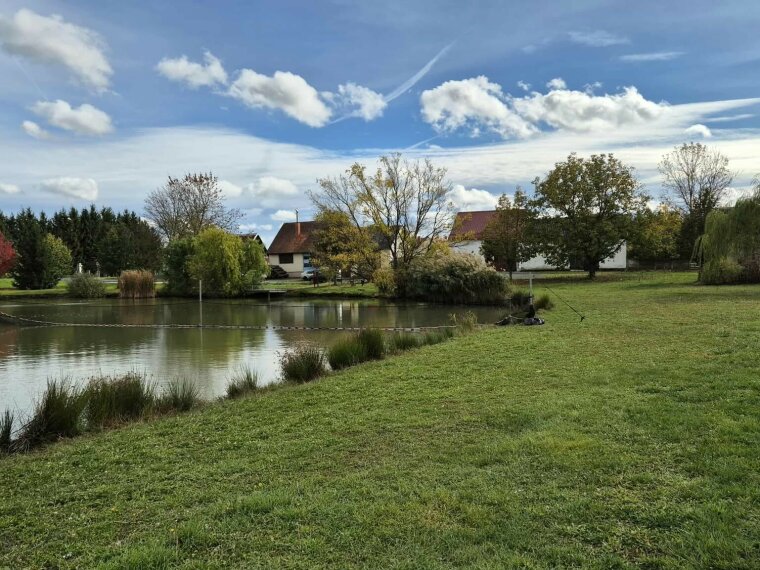 Megérkeztek a pisztrángok a vaskeresztesi Alpesi-tóba