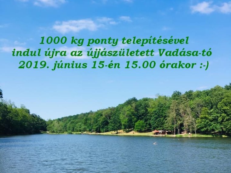 1000 kg ponty telepítésével indul újra a Vadása-tó