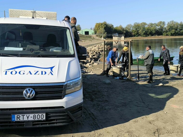 We planted 39 tons of carp on Friday