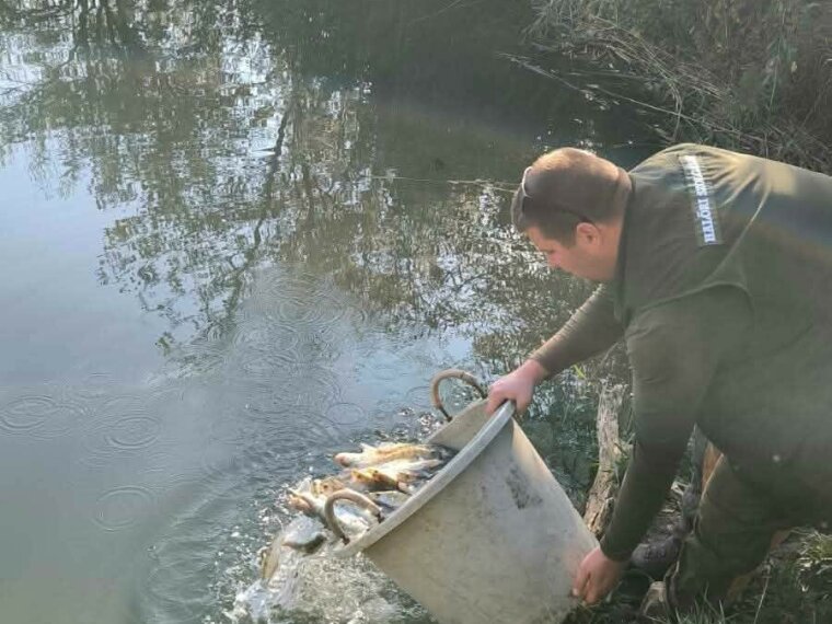The waters of Vásárlón have been enriched with 1,000 small perch