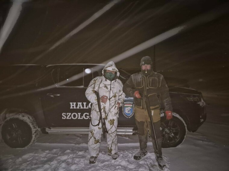 Januári helyzetkép a nagy kárókatona állományról