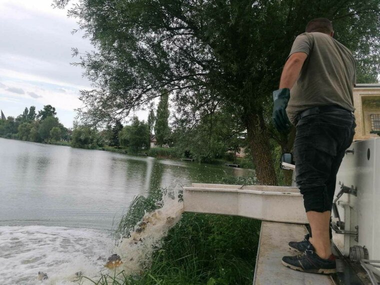 320 kg of carp arrived in the Szombathely Boating Lake on Friday