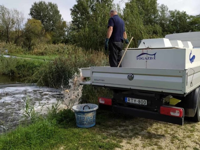 Jövő kedden 1600 kg ponttyal folytatjuk a telepítést