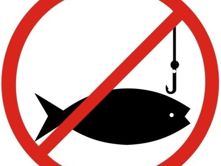 There will be a fishing ban on Lake Csánigi!