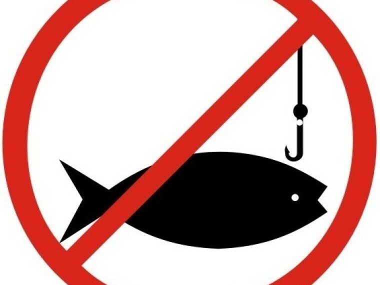 2025. July bans