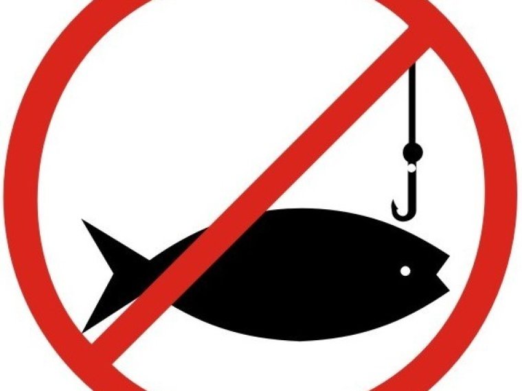 Fishing ban in the Kerka backwater of Kerkaszentkirály