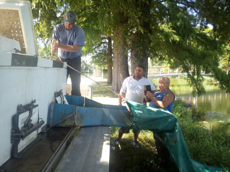 900 kg ponty érkezett a hosszú hétvégére