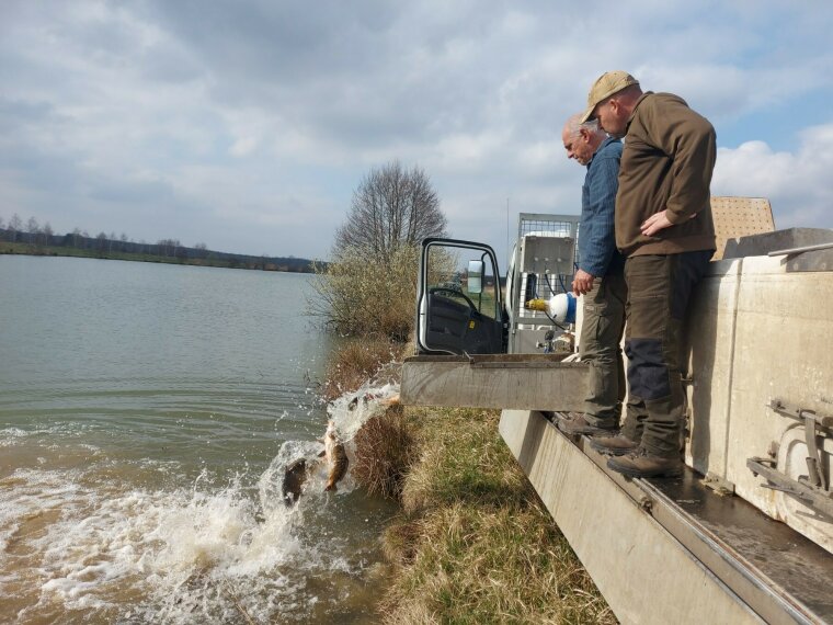 10,200 kg of carp and approx. 1,700 perch arrived in federal waters
