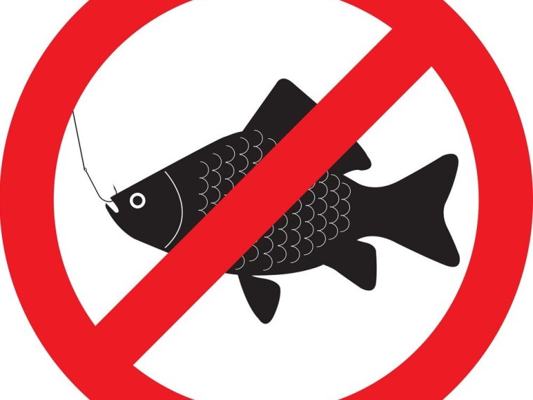 Fishing bans on the first weekend of September