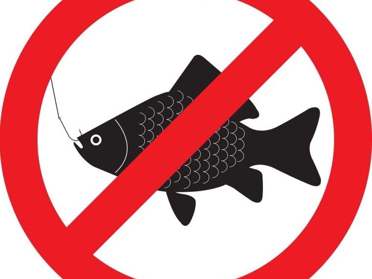 There will be a general ban on fishing in Abért II. on lake on sunday