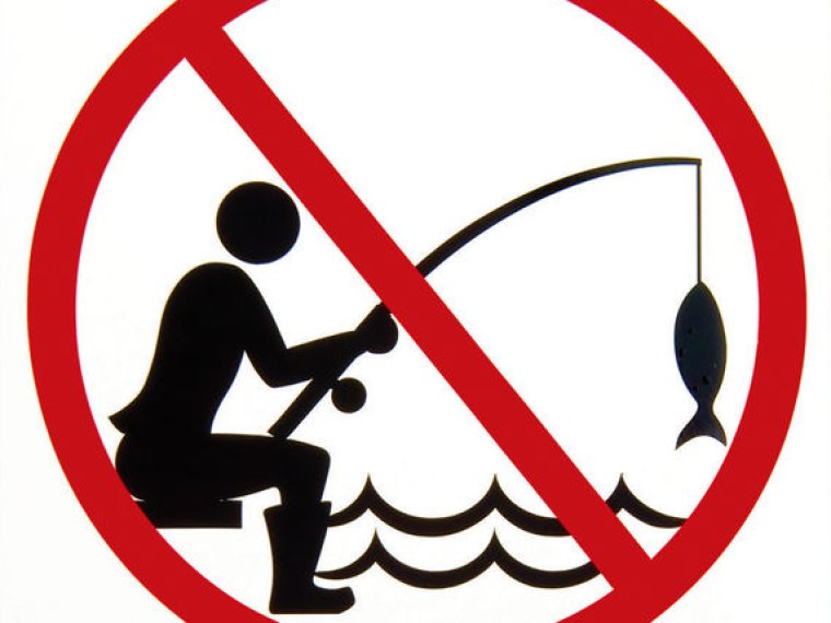 Fishing bans on the weekend