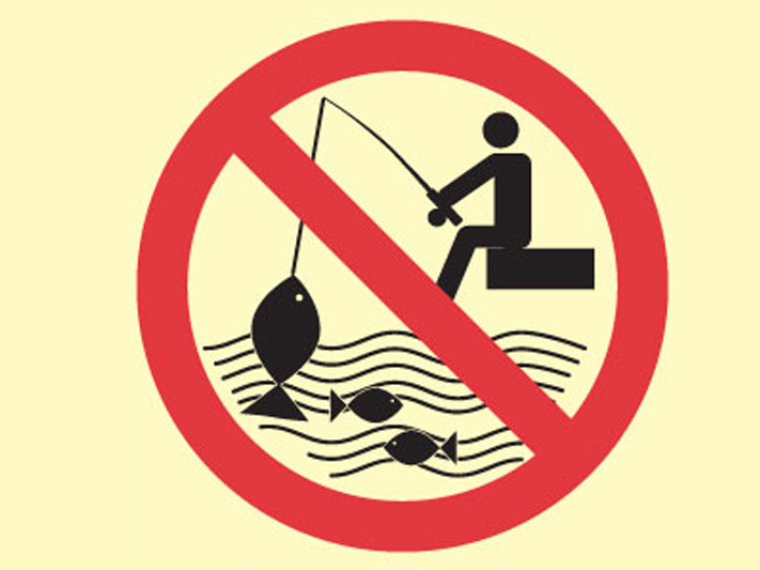 Általános horgászati tilalom a Magyarszecsődi tavon