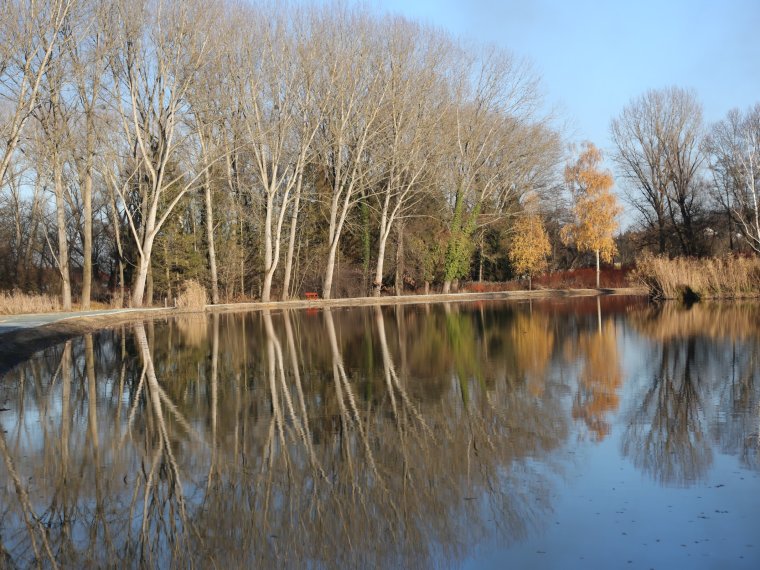 Invitation to hand over the developments of Lake Vasvár