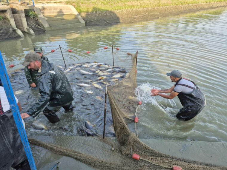 7400 kg ponttyal gazdagodtak a Vasi Vizek csütörtökön