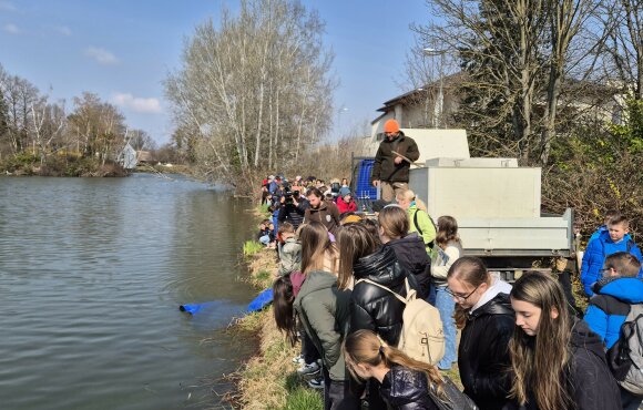 Közel 40 mázsa ponty és folyóvízi halak is érkeztek