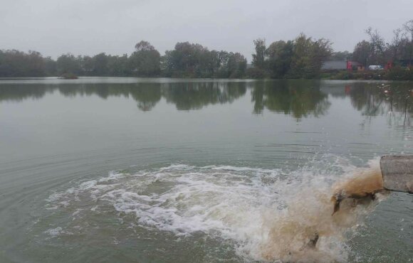 A total of 20 glazed carp arrived in four lakes