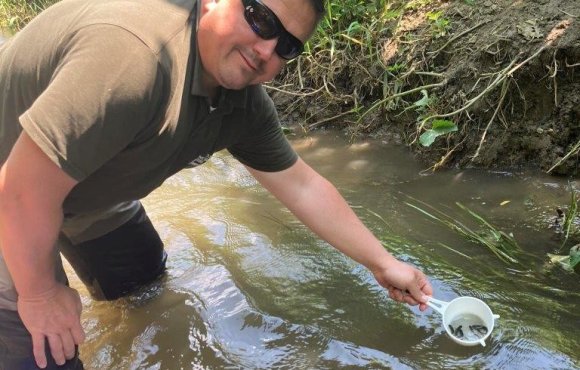 7,000 brown trout were planted in Vas County