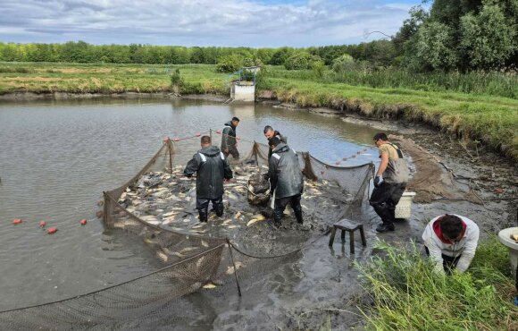 Erfolgreicher Karpfenbesatz von knapp 9.000 kg