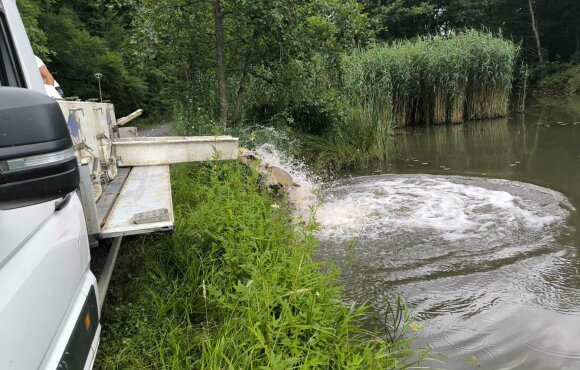 Installations during the organization of the Fish Day