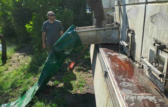 Weiterer 600 kg Karpfenbesatz in Ikervár