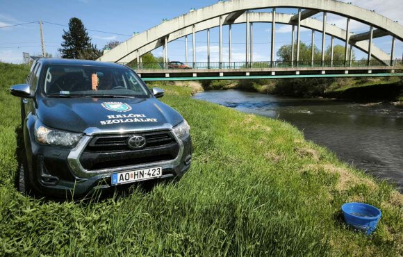 Előnevelt menyhalak érkeztek a Kerkába, Rábába