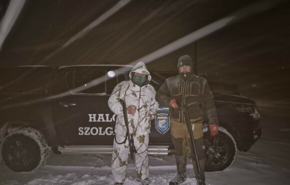 Januári helyzetkép a nagy kárókatona állományról