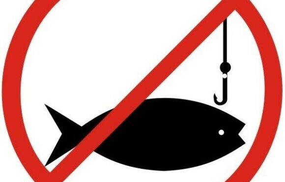 2026. Március havi tilalmak