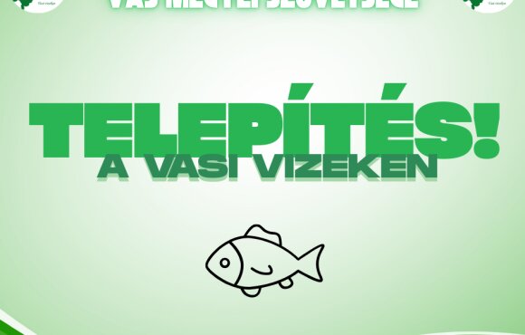 Weitere 3,9 Tonnen Karpfen sind in Vasi Vizek eingetroffen!