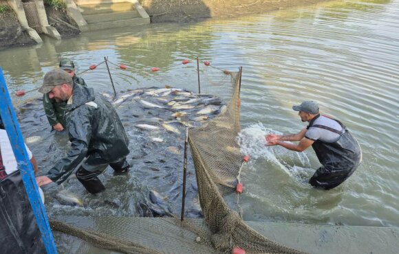 7400 kg ponttyal gazdagodtak a Vasi Vizek csütörtökön