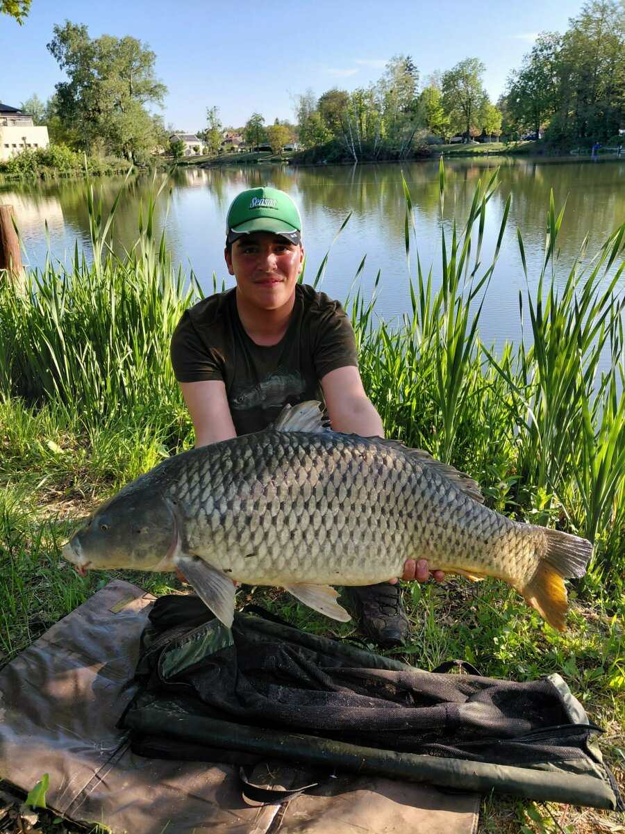 Beküldte: Máthé Zalán