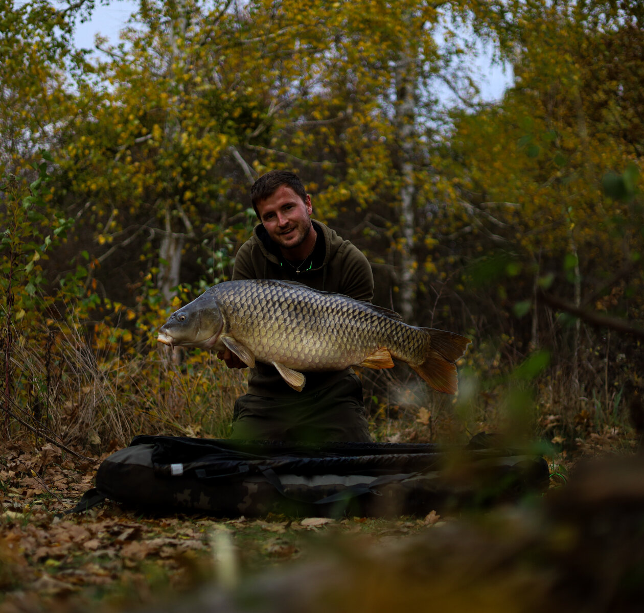 Beküldte: gggabor16