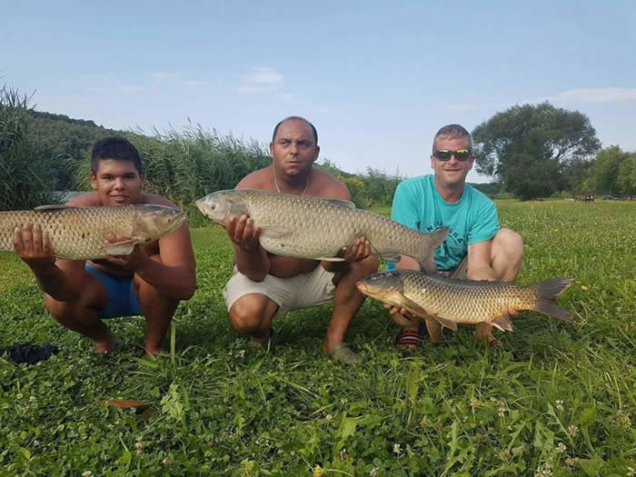 Beküldte: vasivizeken