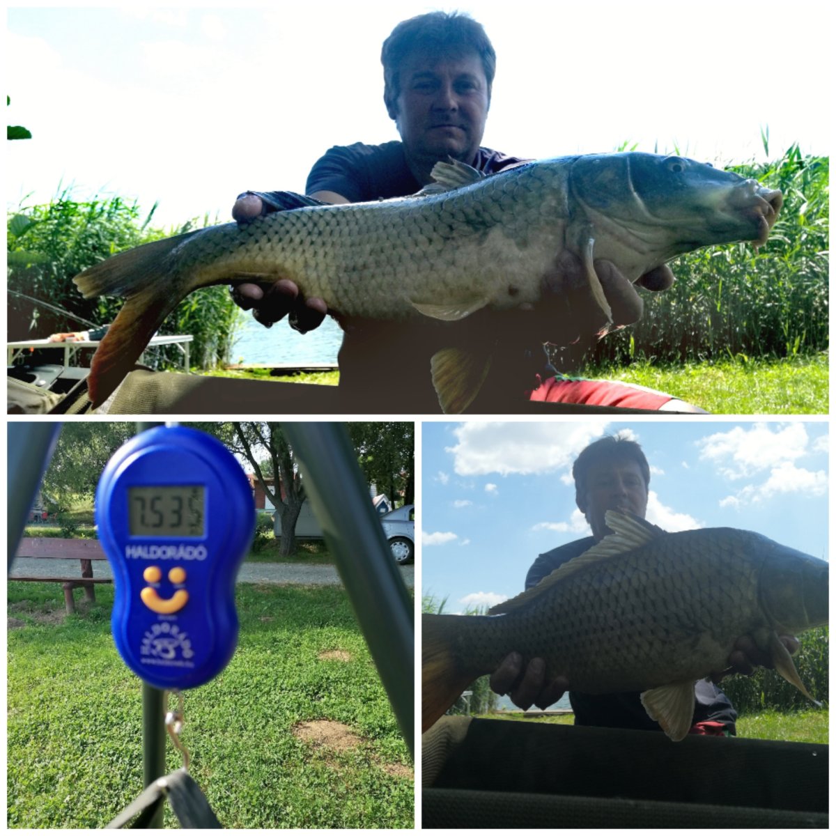 Beküldte: Feedermeister😉