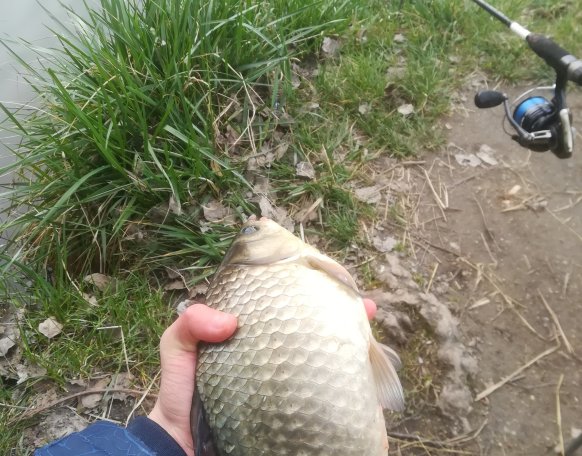 Hosszuelokezes a kistavon