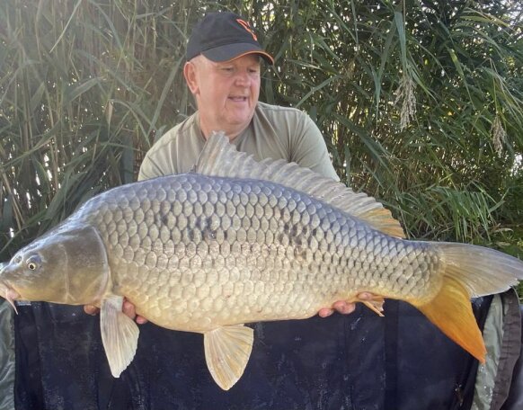 Mozsár Gábor horgásztársunk fogta ezt a csodálatos, 13,5 kg-os pontyot a gersekaráti Sárvíz-tavon. 🤩 A hal egy gyors fotózást követően visszaengedésre került, melyet külön köszönünk! 😊