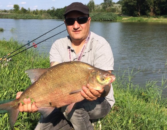 Sztojka József horgásztársunk fogta ezt az óriási - kb. 3 kg körüli  -dévérkeszeget  a Rába folyó nicki gát feletti szakaszán, melyhez szívből gratulálunk!