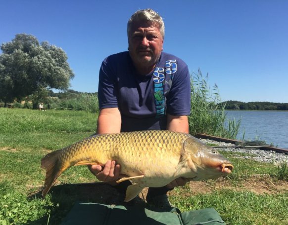 Kámán Zoltán horgásztársunk Gersekaràti Sárvíz-tavon fogta ezt a gyönyörű 14 kg -os pontyot.