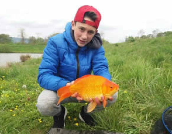 Szép fogás a vasi vizeken. A hal mérlegelés után visszaengedésre került!